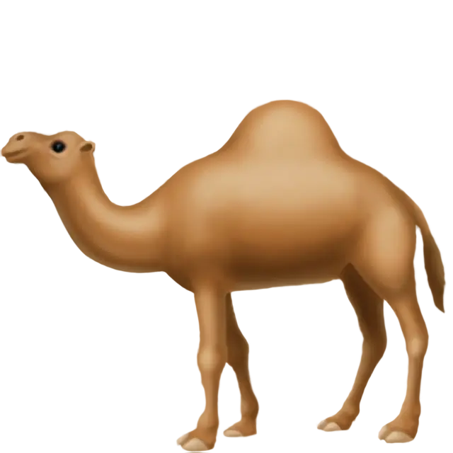 Dromedarul Camel