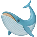 鲸