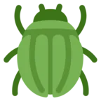 Beetle