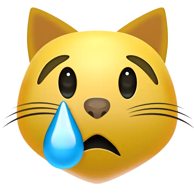 泣いている猫の顔