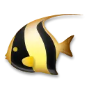 Тропическая рыба