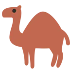 Одногорбый верблюд (дромадер)