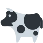 गाय