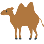 Двугорбый верблюд (бактриан)
