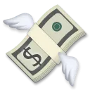 Money with Wings