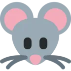 Fața mouse-ului