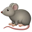 Ratto