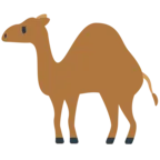 Dromedarul Camel