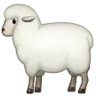 Owca