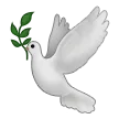 和平之鸽