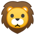 Cara de leão