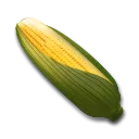 Kukorica fül