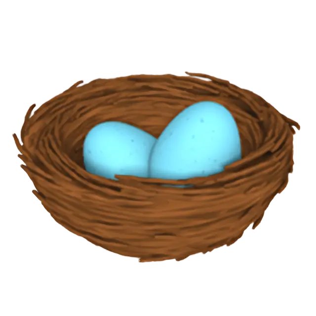 鳥の卵と巣
