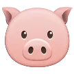 Schweinegesicht