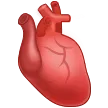 Coeur anatomique