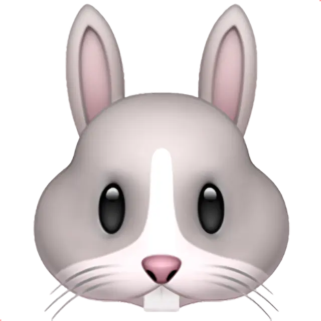 Морда кролика
