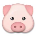 Cara de cerdo