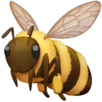 꿀벌