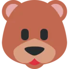 Cara de oso