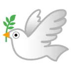 Barış güvercini