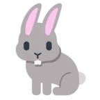 Tavşan