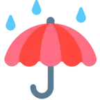 雨の傘