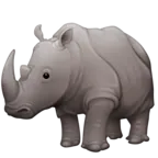 Rinocer