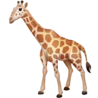 Faccia di giraffa