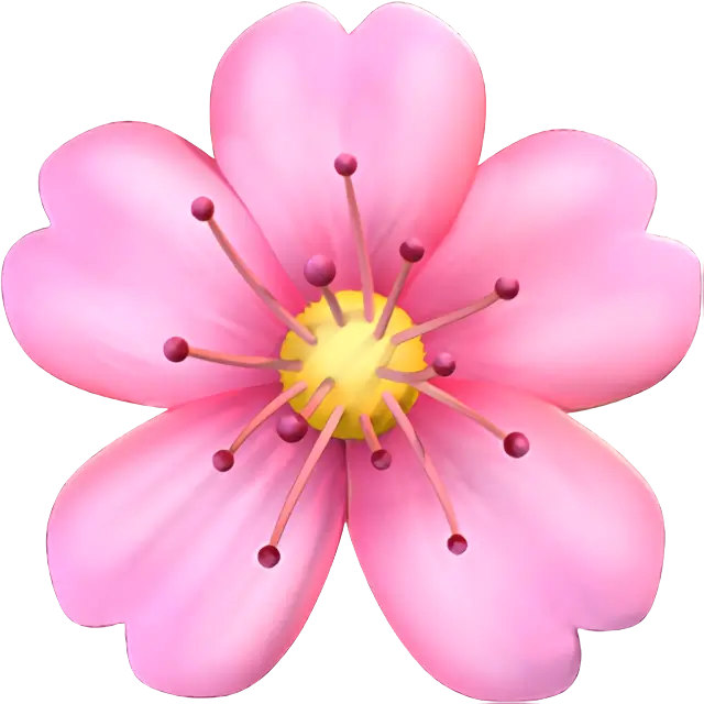 Kwiat Wiśni