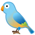 Pájaro