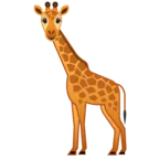 Giraffe Face