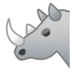 Rinocer