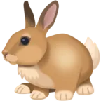 Tavşan