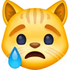 रोते हुए बिल्ली का चेहरा
