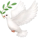 शांति के कबूतर